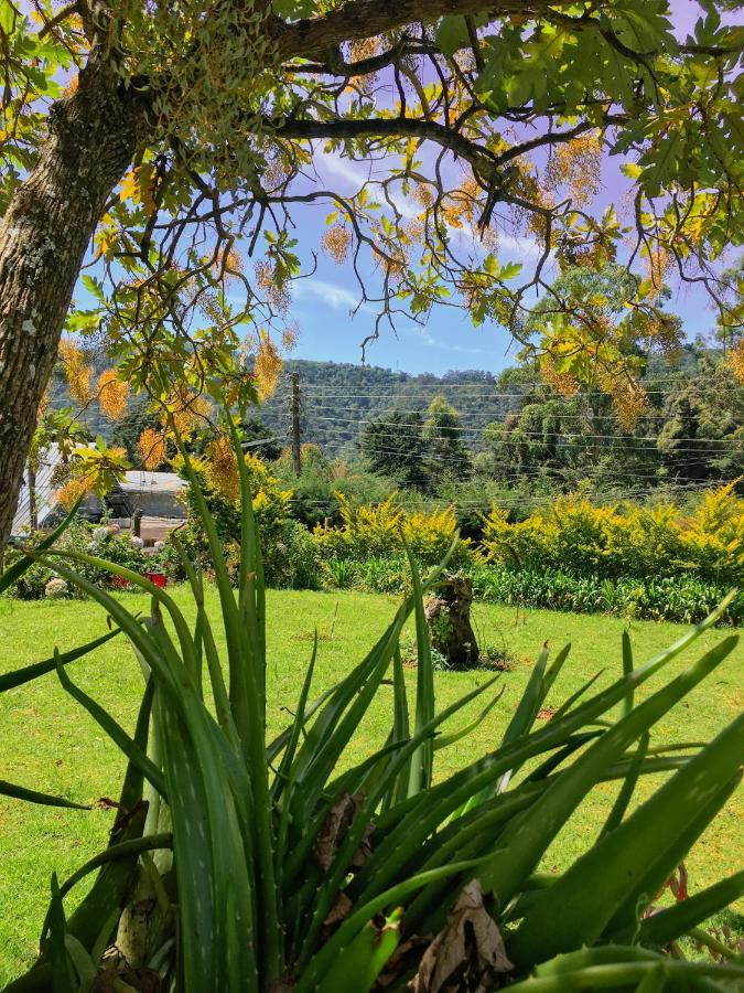 Andrews Hostel Nuwara Eliya Kültér fotó